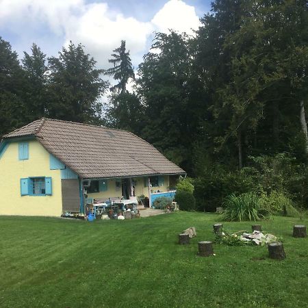 Blue Cottage Podvrh  Luaran gambar