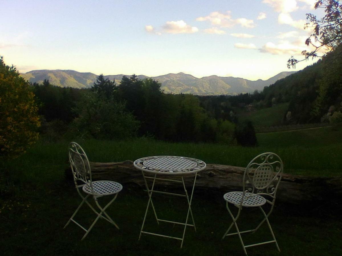 Blue Cottage Podvrh  Luaran gambar