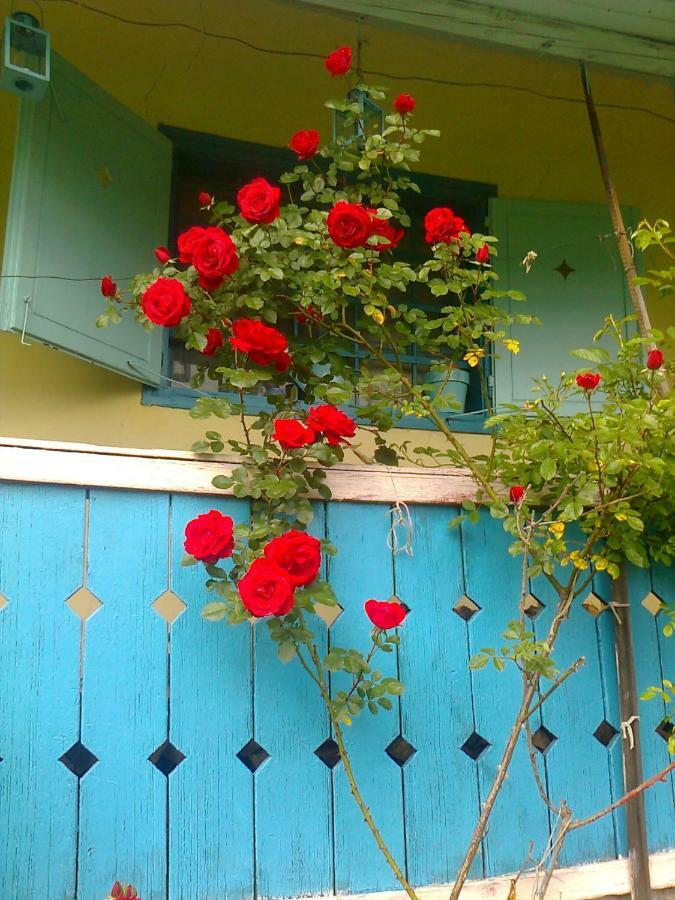 Blue Cottage Podvrh  Luaran gambar