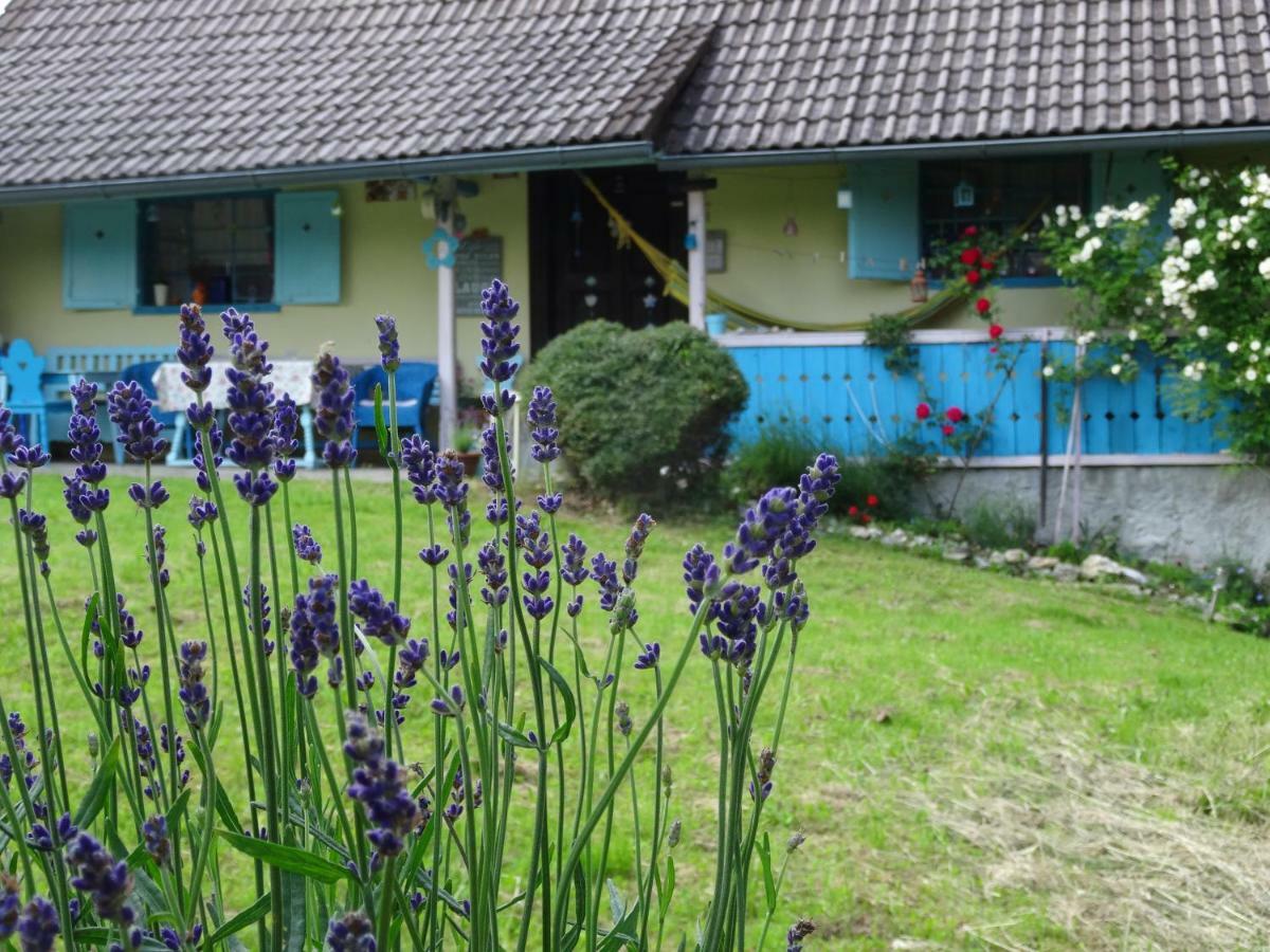 Blue Cottage Podvrh  Luaran gambar